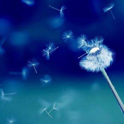 金沙集团9500官网手机app下载